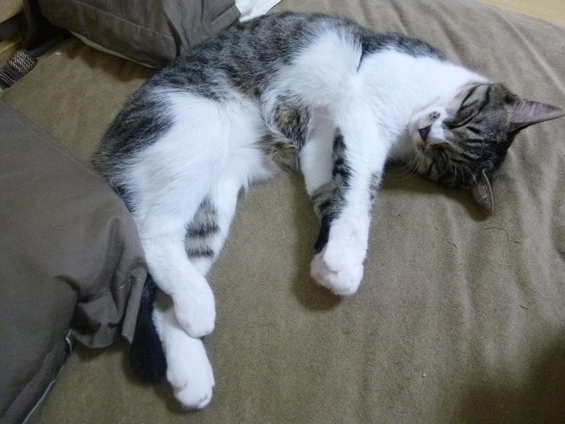 黄喜灿带队取胜！伊拉克绝杀巴拉圭，亚洲足球迎来新纪元？