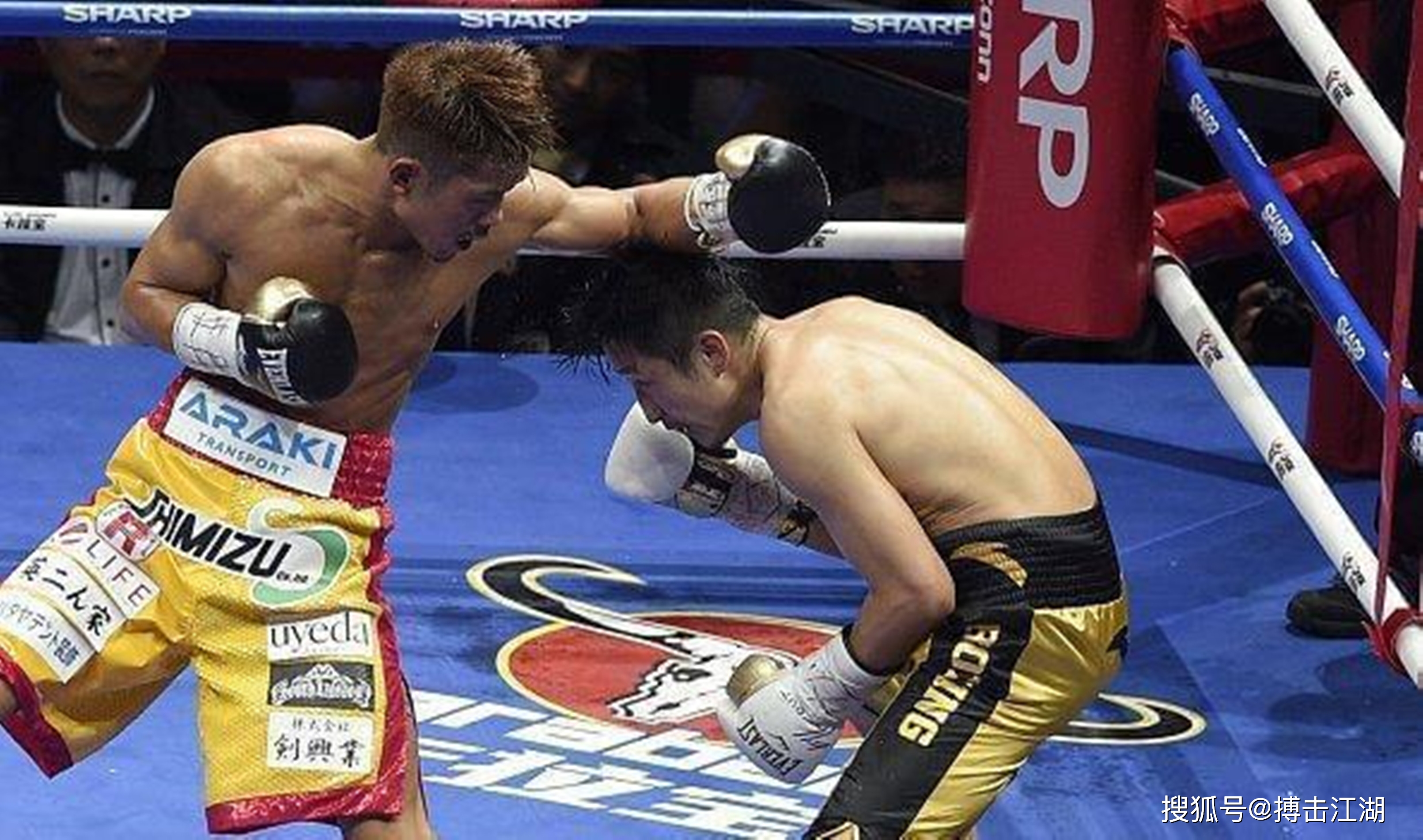 球星爆发!拳击赛场再现神级操作 球星爆发!拳击赛场再现神级操作